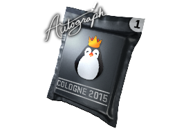 Autograph Capsule | Team Kinguin | Cologne 2015 - Container