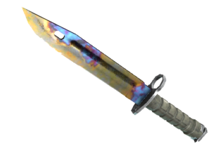 Bayonet | Case Hardened