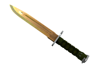 Bayonet | Lore