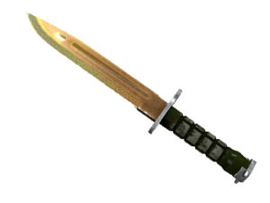 Bayonet | Lore
