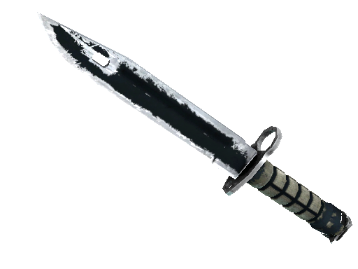 ★ Bayonet | Night (Battle-Scarred) - Covert - Knife