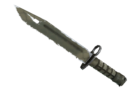 ★ Bayonet | Safari Mesh (Well-Worn) - Covert - Knife