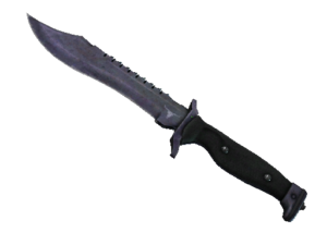 Bowie Knife | Blue Steel