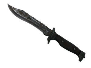 Bowie Knife | Forest DDPAT