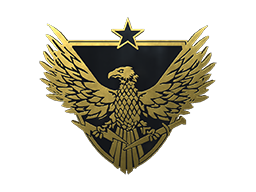 Brigadier General Pin - Extraordinary - Collectable Pin - from Collectible Pins Capsule Series 3