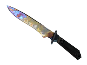 Classic Knife | Case Hardened