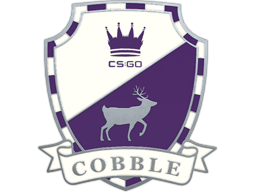 Cobblestone Pin - Remarkable - Collectable Pin - from Collectible Pins Capsule Series 2