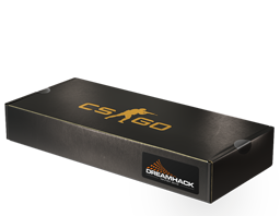 DreamHack 2013 Souvenir Package