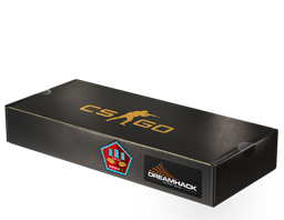 DreamHack 2014 Mirage Souvenir Package