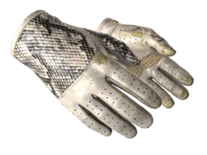★ Driver Gloves | King Snake