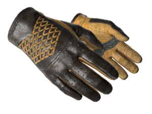 ★ Driver Gloves | Overtake