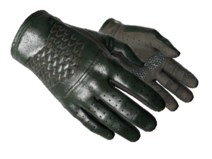 ★ Driver Gloves | Racing Green