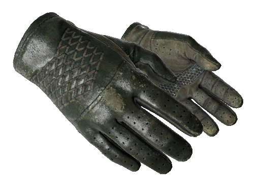 ★ Driver Gloves | Racing Green (Well-Worn) - Gloves