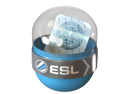 EMS Katowice 2014 Challengers - Capsule - from EMS Katowice 2014 Challengers