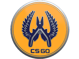 Guardian 2 Pin - High Grade - Collectable Pin - from Collectible Pins Capsule Series 2