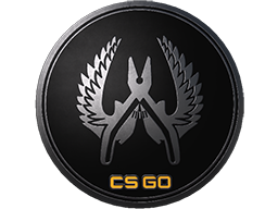 Guardian Elite Pin - Extraordinary - Collectable Pin - from Collectible Pins Capsule Series 1