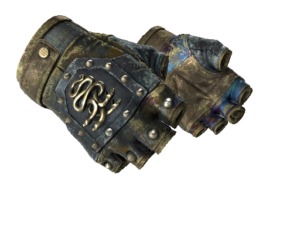 ★ Hydra Gloves | Case Hardened