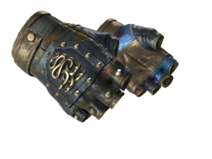 ★ Hydra Gloves | Case Hardened