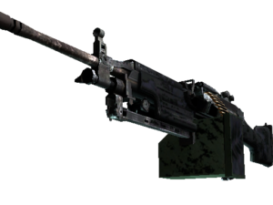 M249 | Midnight Palm