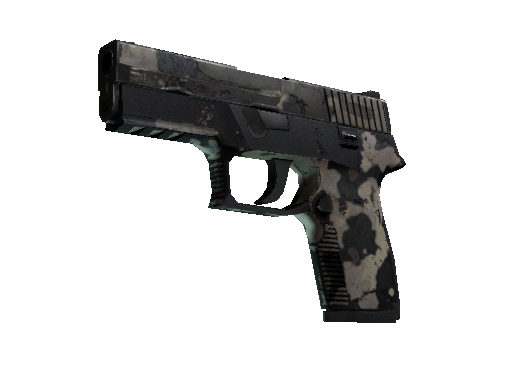 P250 | Black & Tan (Battle-Scarred) - Weapon