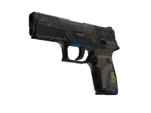 P250 | Exchanger