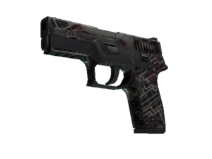 P250 | Facility Draft