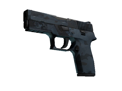 P250 | Forest Night (Well-Worn) - Consumer Grade - Weapon - from The Control Collection