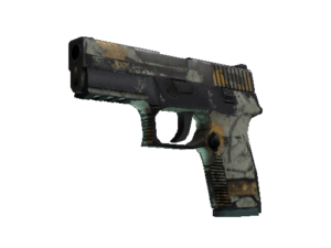 P250 | Modern Hunter