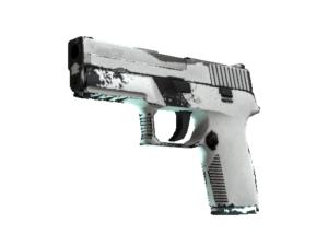 P250 | Whiteout