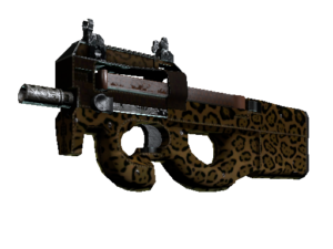 P90 | Run and Hide