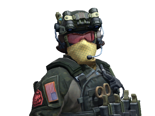 Seal Team 6 Soldier | NSWC SEAL - Distinguished - Agent - from Shattered Web Agents