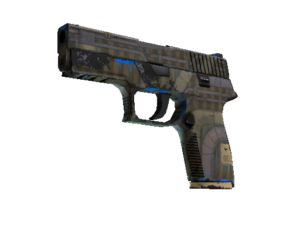 P250 | Exchanger