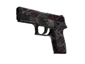 P250 | Facility Draft