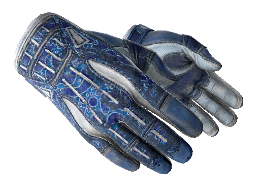 ★ Sport Gloves | Amphibious (Battle-Scarred) - Gloves