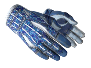★ Sport Gloves | Amphibious