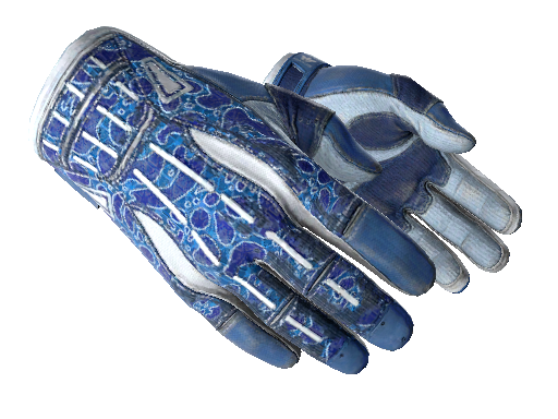 ★ Sport Gloves | Amphibious (Field-Tested) - Gloves