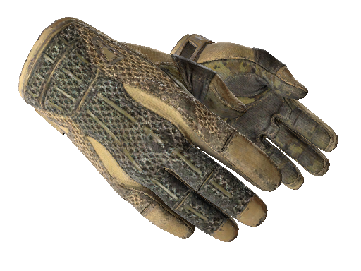 ★ Sport Gloves | Arid (Battle-Scarred) - Gloves