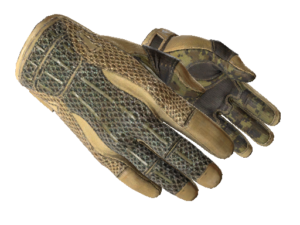 ★ Sport Gloves | Arid