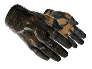 ★ Sport Gloves | Big Game