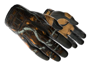 ★ Sport Gloves | Big Game