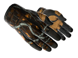 ★ Sport Gloves | Big Game