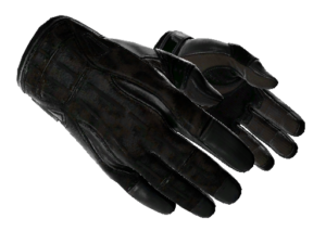 ★ Sport Gloves | Nocts