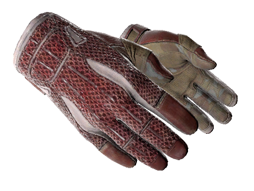 ★ Sport Gloves | Slingshot (Field-Tested) - Gloves