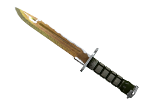 Bayonet | Lore