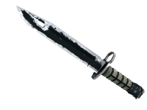 Bayonet | Night