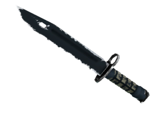 Bayonet | Night