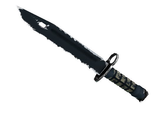 ★ StatTrak™ Bayonet | Night (Field-Tested) - Covert - Knife