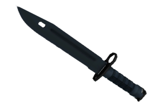 Bayonet | Night