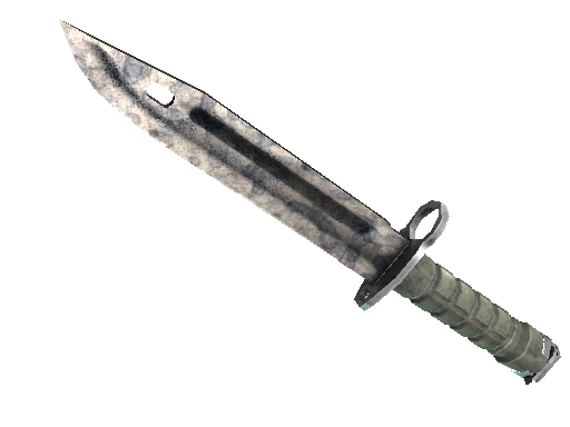 ★ StatTrak™ Bayonet | Stained (Battle-Scarred) - Covert - Knife