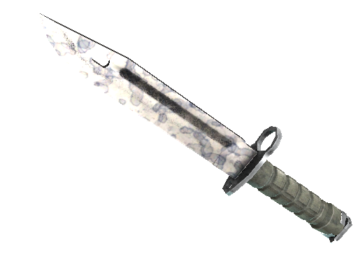 ★ StatTrak™ Bayonet | Stained (Minimal Wear) - Covert - Knife